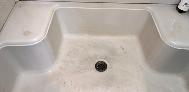 Before – Shower deep clean
